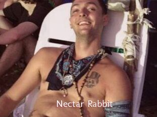 Nectar_Rabbit