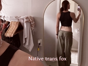 Native_trans_fox