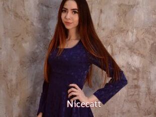 Nicecatt