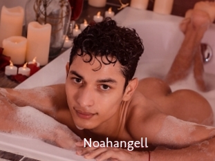 Noahangell