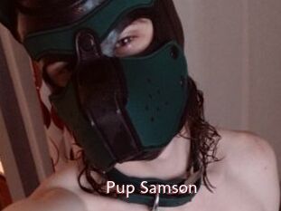 Pup_Samson