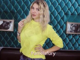 Pamelafury