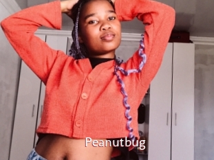 Peanutbug