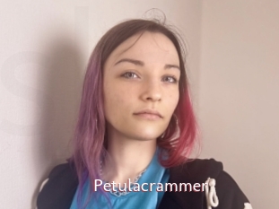 Petulacrammer