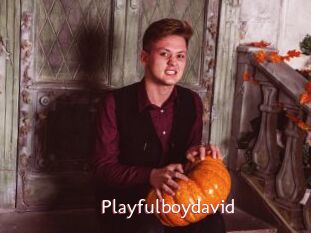 Playfulboydavid