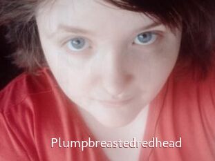 Plumpbreastedredhead