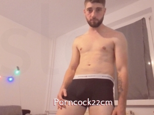 Porncock22cm