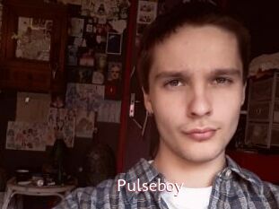 Pulseboy