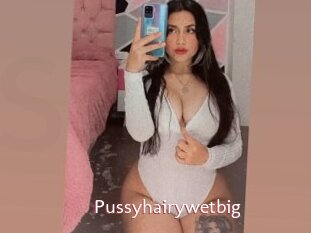 Pussyhairywetbig