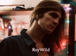 RoyWild