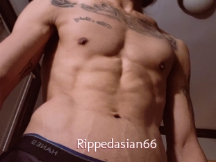 Rippedasian66