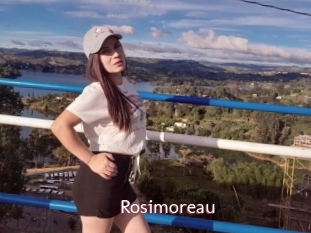 Rosimoreau