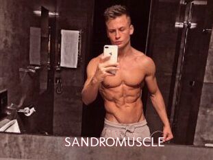 SANDRO_MUSCLE