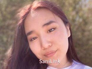 SaniLink