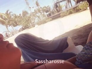 Sassharosse