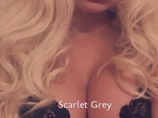 Scarlet_Grey