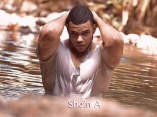 Shein_A