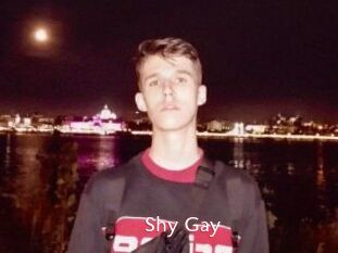 Shy_Gay