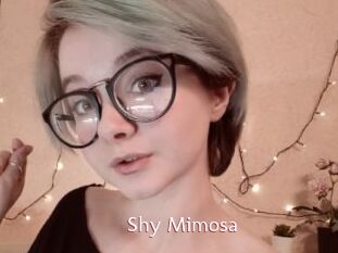 Shy_Mimosa