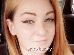 Sn0wbunny