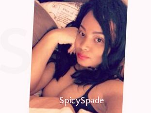 SpicySpade