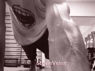 StevieVeins