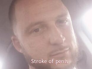 Stroke_of_penis