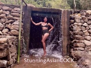 StunningAsianCOCK