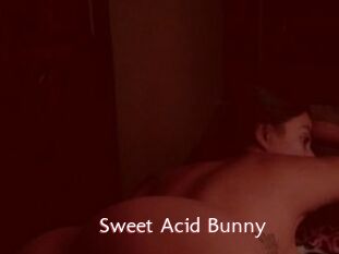 Sweet_Acid_Bunny