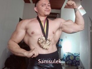 Samsulek