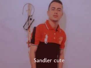 Sandler_cute