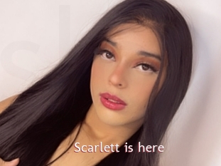 Scarlett_is_here