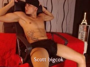 Scott_bigcok