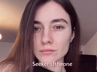 Seekeroftheone