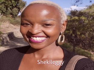 Shekileggy