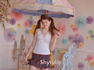 Shytulip
