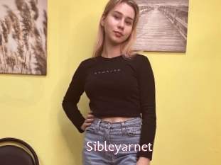 Sibleyarnet