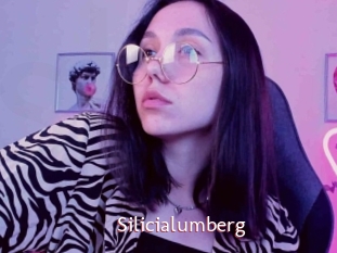 Silicialumberg