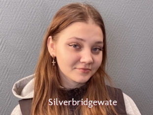 Silverbridgewate