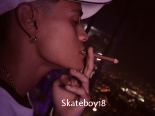 Skateboy18