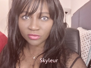 Skyleur