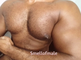 Smellofmale