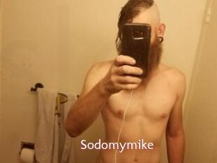 Sodomymike