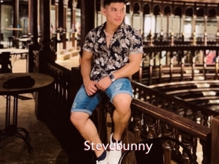 Stevebunny