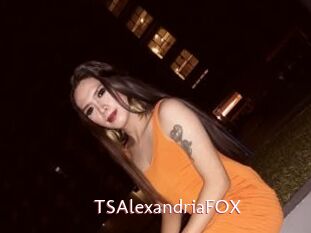 TSAlexandriaFOX