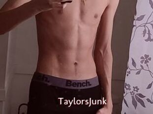 TaylorsJunk