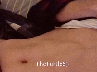 TheTurtle69