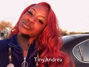 TinyAndrea