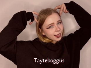 Tayteboggus