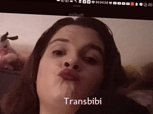 Transbibi